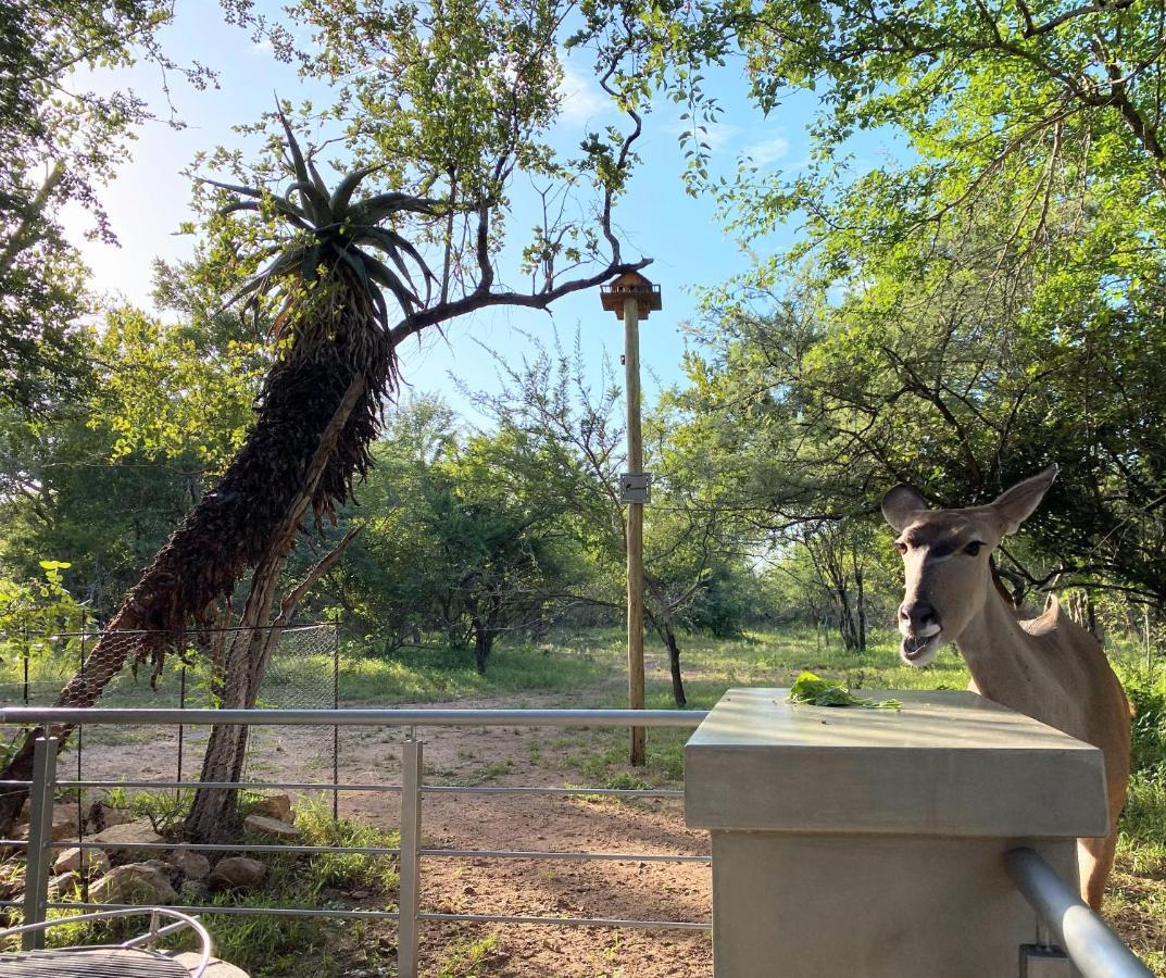 Kruger'S Keep - Luxury Couples Haven Villa Marloth Park Dış mekan fotoğraf