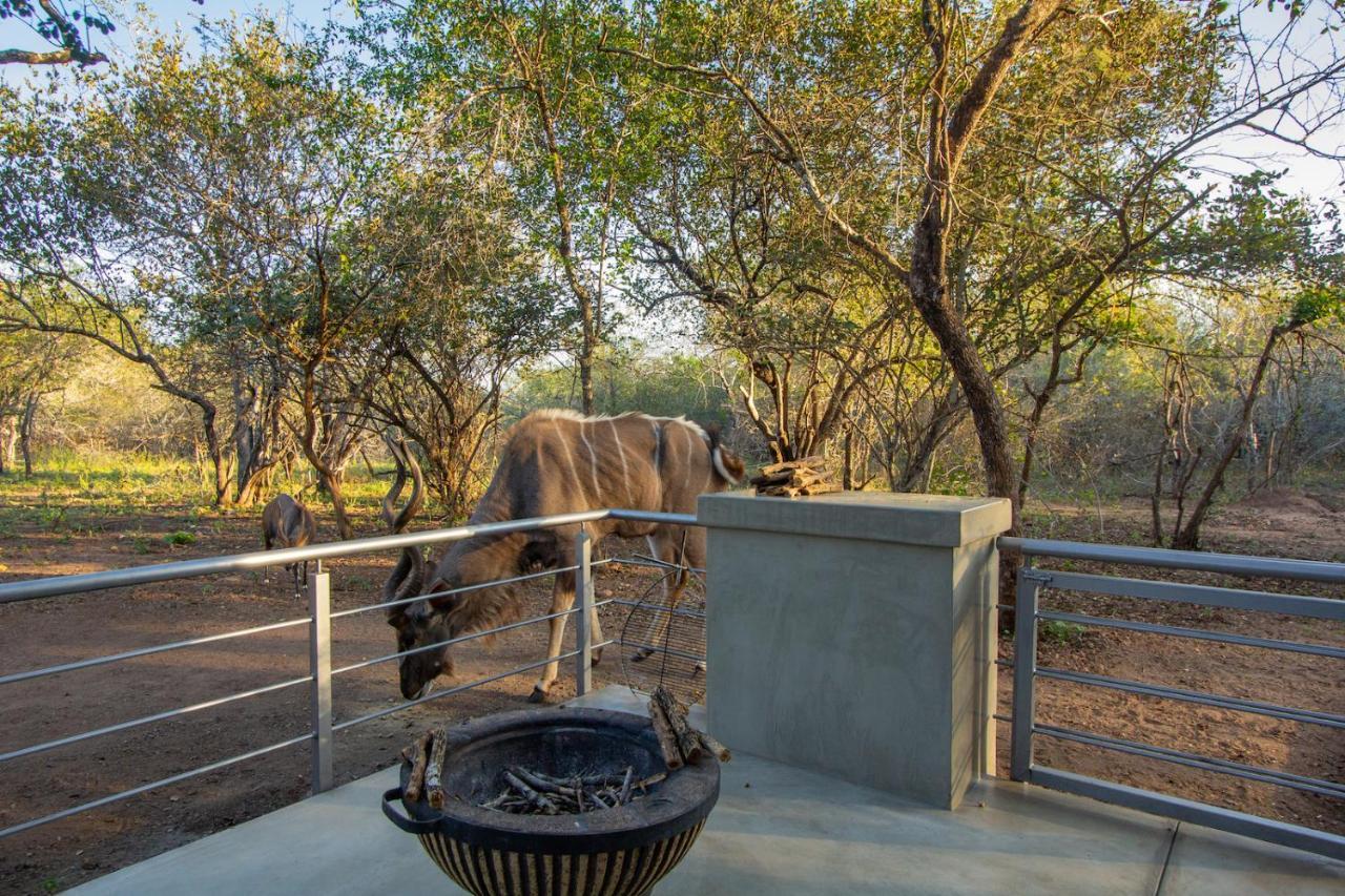 Kruger'S Keep - Luxury Couples Haven Villa Marloth Park Dış mekan fotoğraf